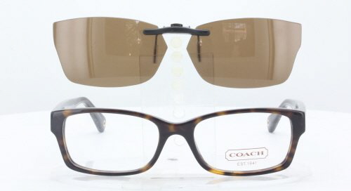 coach brooklyn glasses